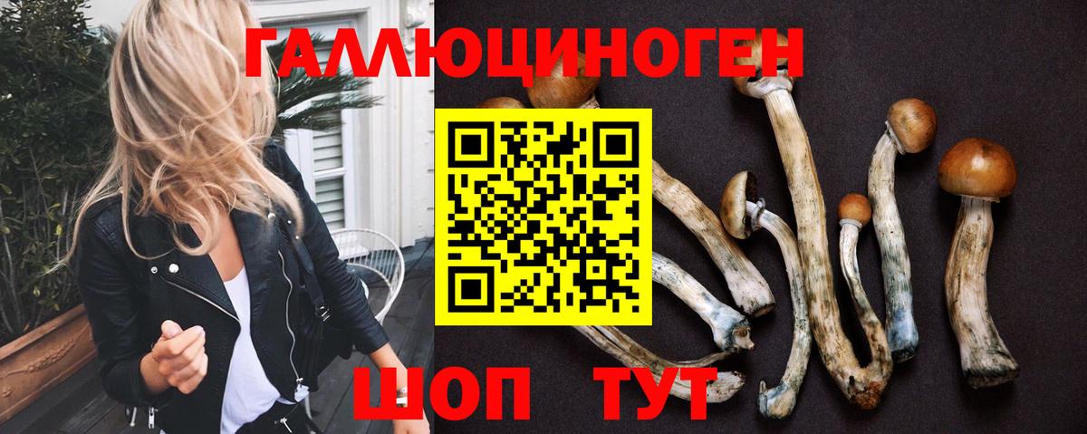 Псилоцибиновые грибы Psilocybine cubensis  Вход с VPN  Ишимбай 