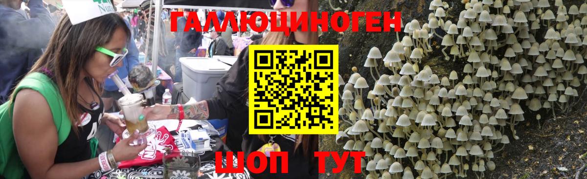 Галлюциногенные грибы GOLDEN TEACHER Ишимбай